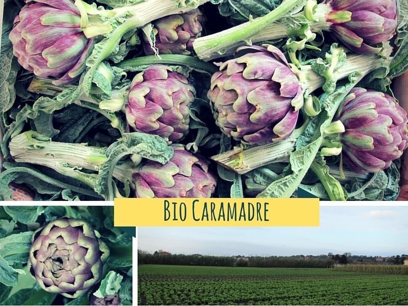 #Cassetta di #carciofi #biologici!

Da questa settimana su <a href="/Kalulu_it/">Kalulu</a> il produttore Biocaramadre ci delizia con i primi #carciofi della stagione, #freschi, #genuini e a #km0: buff.ly/3aX4Uqj!

Affrettatevi ad ordinare, la vostra #frutta e #verdura preferita vi aspetta!
