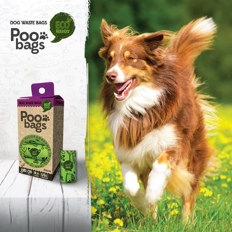 DapacPets's tweet photo. ¿Sabías que nuestras bolsas #PooBags están hechas a partir de maíz? ¡Además se biodegradan en 12 meses y son 100% reciclables! ¡Paremos el cambio climático! 🌱♻🌱
#dapac #petcare #poobags #ecofriendly #corn #green #dogs https://t.co/X9llP1a8lh