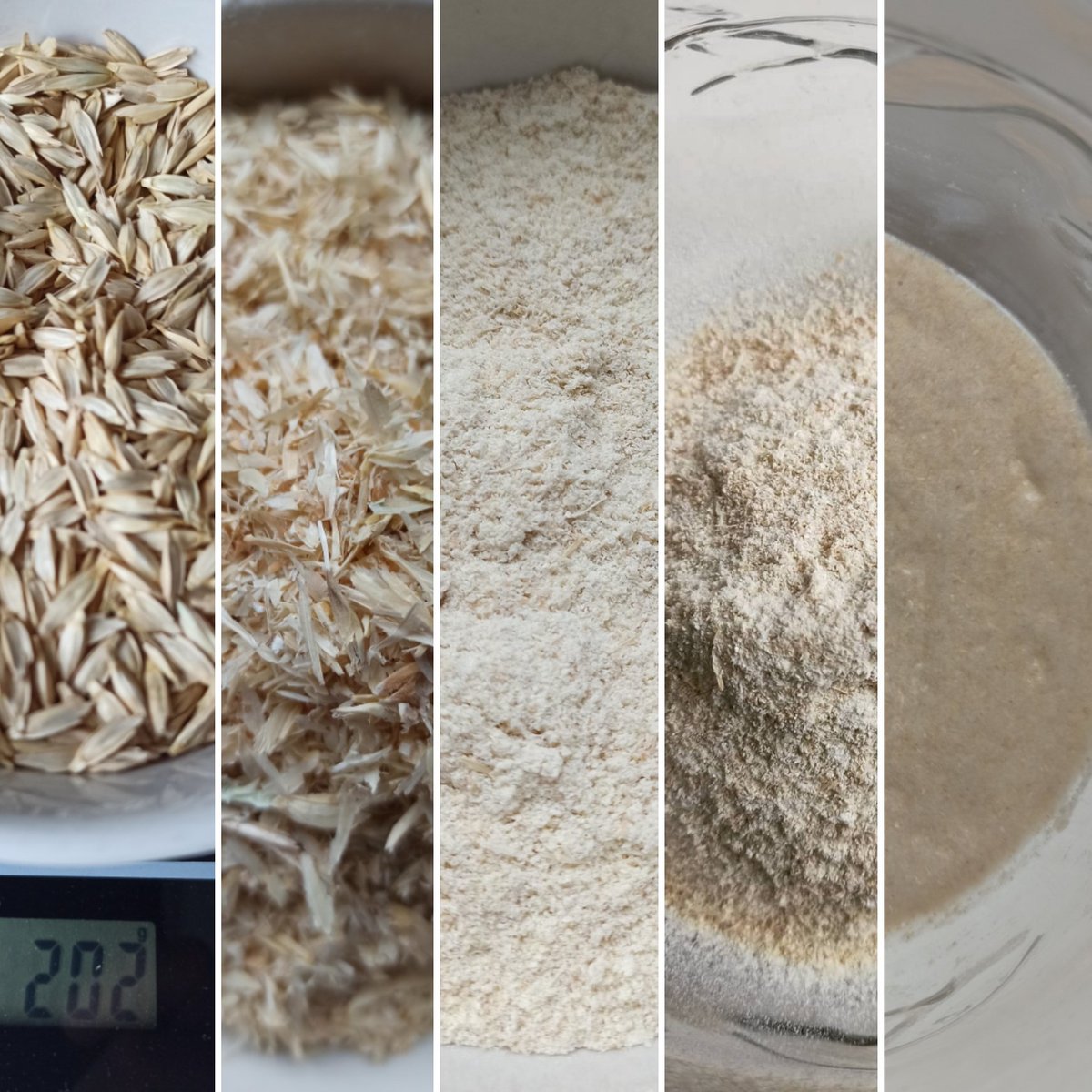 Organik siyez buğdayı ile doğal ekşi maya başlatalım, ekmeklerimiz de biralarımız kadar lezzetli olsun 🍺🥖
#siyezbuğdayı #ekşimaya