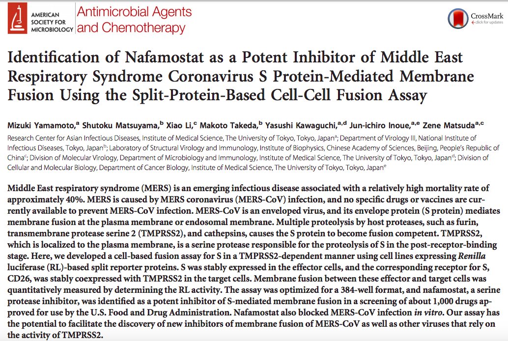 2. A 2016 study showing the FDA-approved drug Nafamostat able to block MERS-Corona virus entry into host cells ten times more effectively than Camostat.  #CoVID19, as shown by the Germans, uses the same mechanisms as SARS & MERS for host cell-entry.  https://aac.asm.org/content/aac/60/11/6532.full.pdf