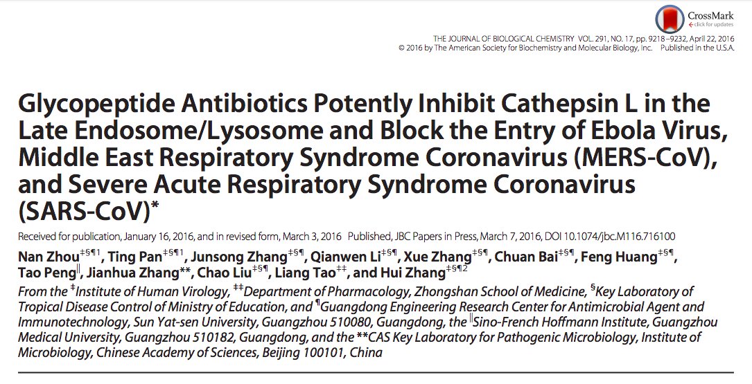 3. A 2016 study showing FDA-approved drug Teicoplanin able to block MERS-and SARS- Corona virus entry into human cells.Given its low toxicity, the scientists proposed its use in the clinic for MERS- and SARS-CoV infections in an emergency.  https://www.jbc.org/content/291/17/9218.full.pdf