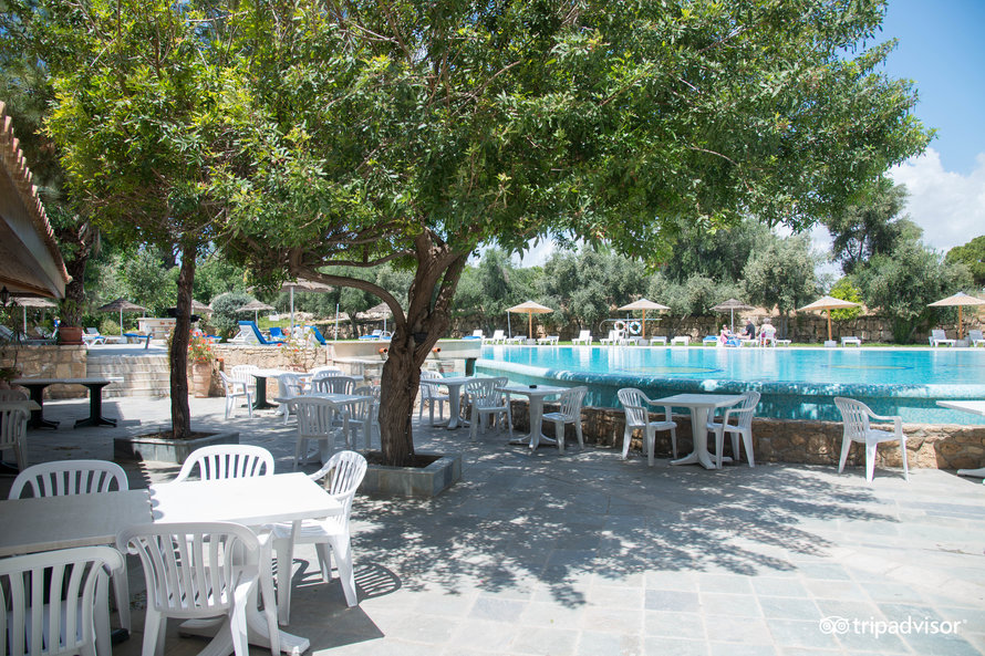 Global Hoppers tweet media