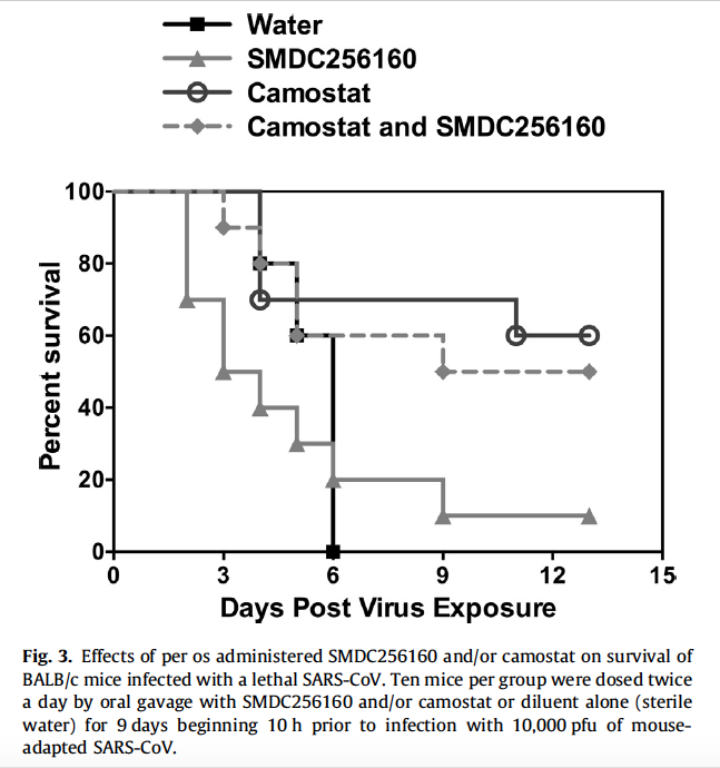 4. A 2015 study showing a combination of drug K11777*/SMDC256160 (currently undergoing clinical trials against hookworm disease), and Camostat blocks Corona virus entry in a lethal SARS-CoV animal model.Both serine- and cysteine proteases were targeted.  https://reader.elsevier.com/reader/sd/pii/S0166354215000248?token=B85971A41532209FA430B83D70E28A30E00B45828B73076375C92525B0319CF8CA98E970DF73C181FB1709048A026372