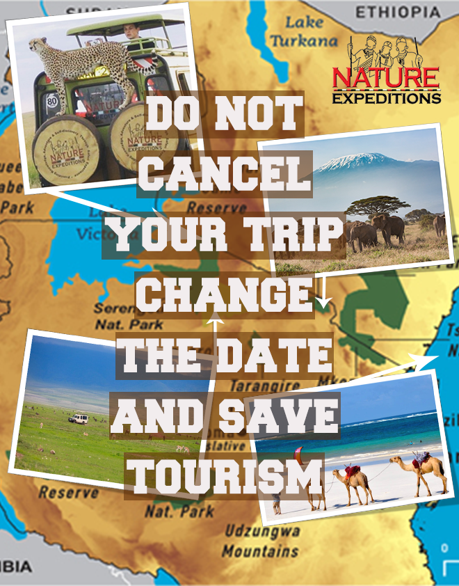nature_exp's tweet image. Let's save African tourism... 
#coronaviruskenya #natureexpeditions #naturenbeyond #nyumbucamp #gokenya #tourism