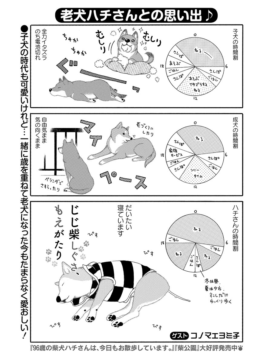 『まんがライフ』5月号本日発売!!
出張ゲスト「ちぃちゃんのおしながき/大井昌和」
大人気あったか小料理屋ストーリー!!
出張ゲスト「じじ柴しぐさ、もえがたり/コノマエヨミ子」
頑張る姿がたまらなく愛おしい老犬ハチとのほのぼの生活!
続く。 