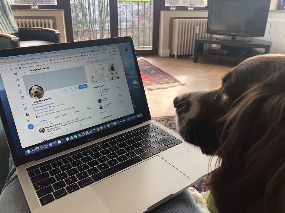 farrismj's tweet photo. It’s Bring Your Pet, Sibling or Parent to school day! Hurley and I are learning on Twitter this morning. #mslearns #ThisIsISB #DistanceLearning https://t.co/DtHAUmuIdL