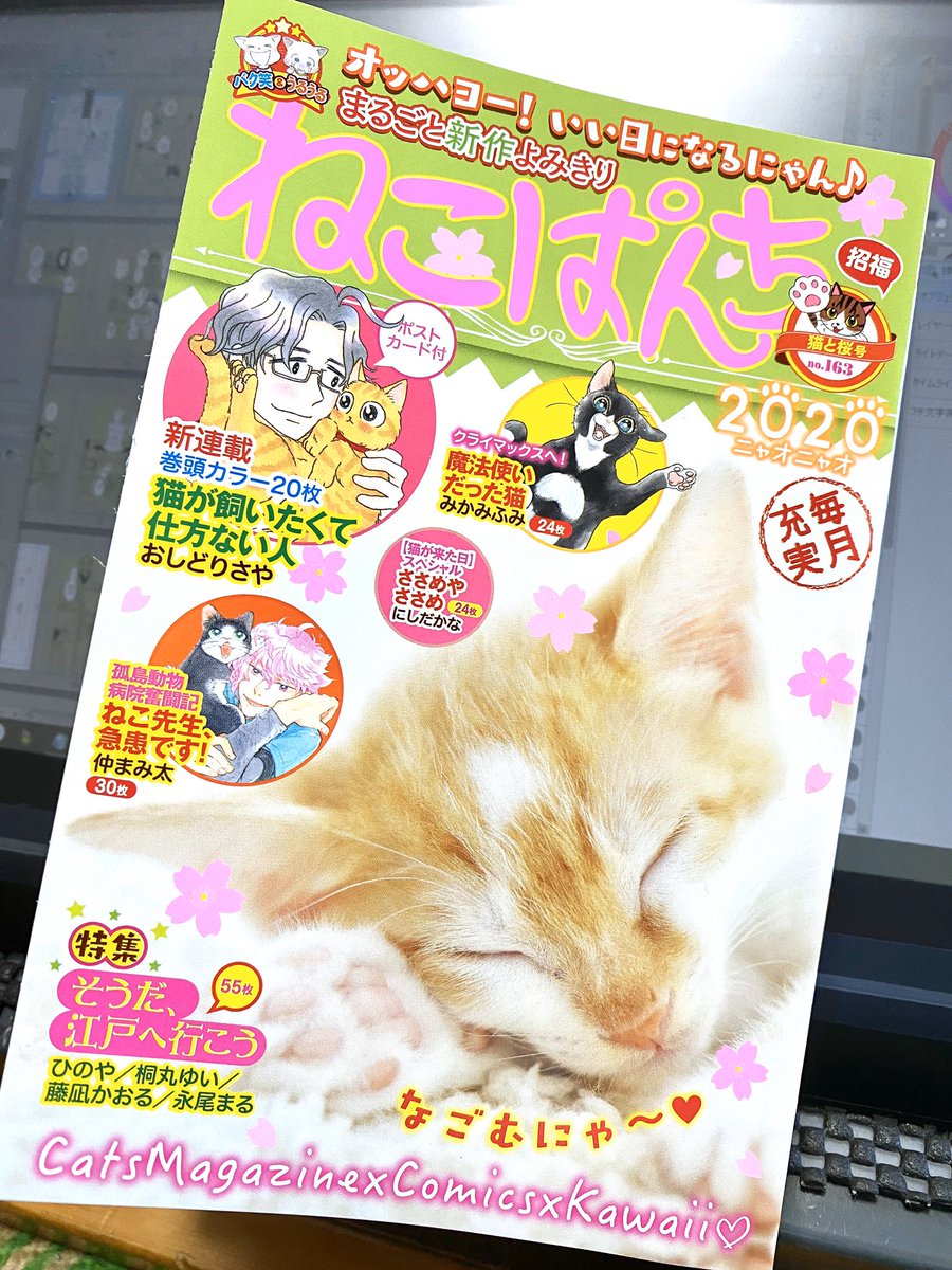 本日発売の「ねこぱんち 猫と桜号」に漫画12P載っけて頂いてます!仲良しおじさんが子猫とトンビの喧嘩を実況する話ですよろしくお願いしますー? 