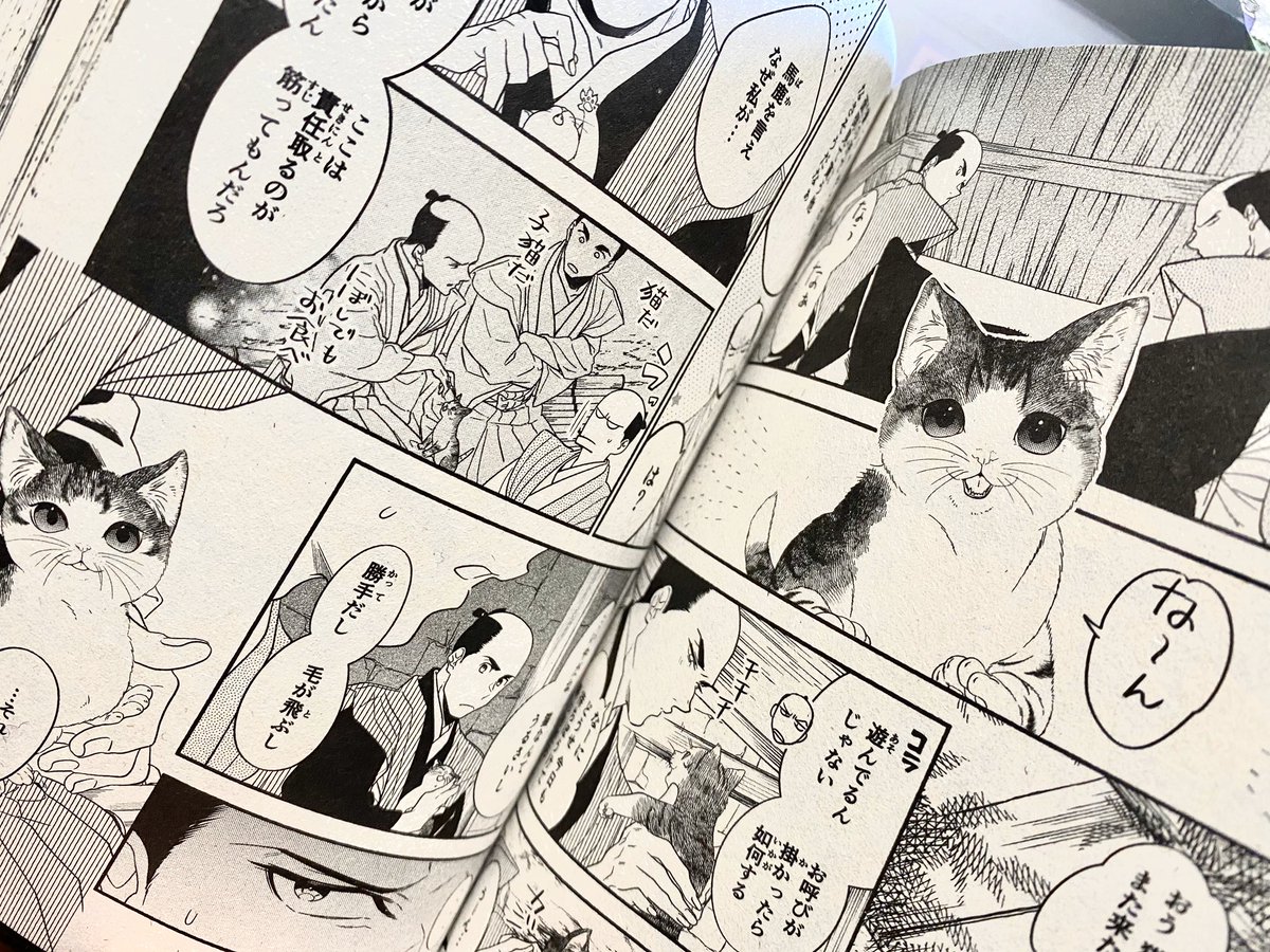 本日発売の「ねこぱんち 猫と桜号」に漫画12P載っけて頂いてます!仲良しおじさんが子猫とトンビの喧嘩を実況する話ですよろしくお願いしますー? 