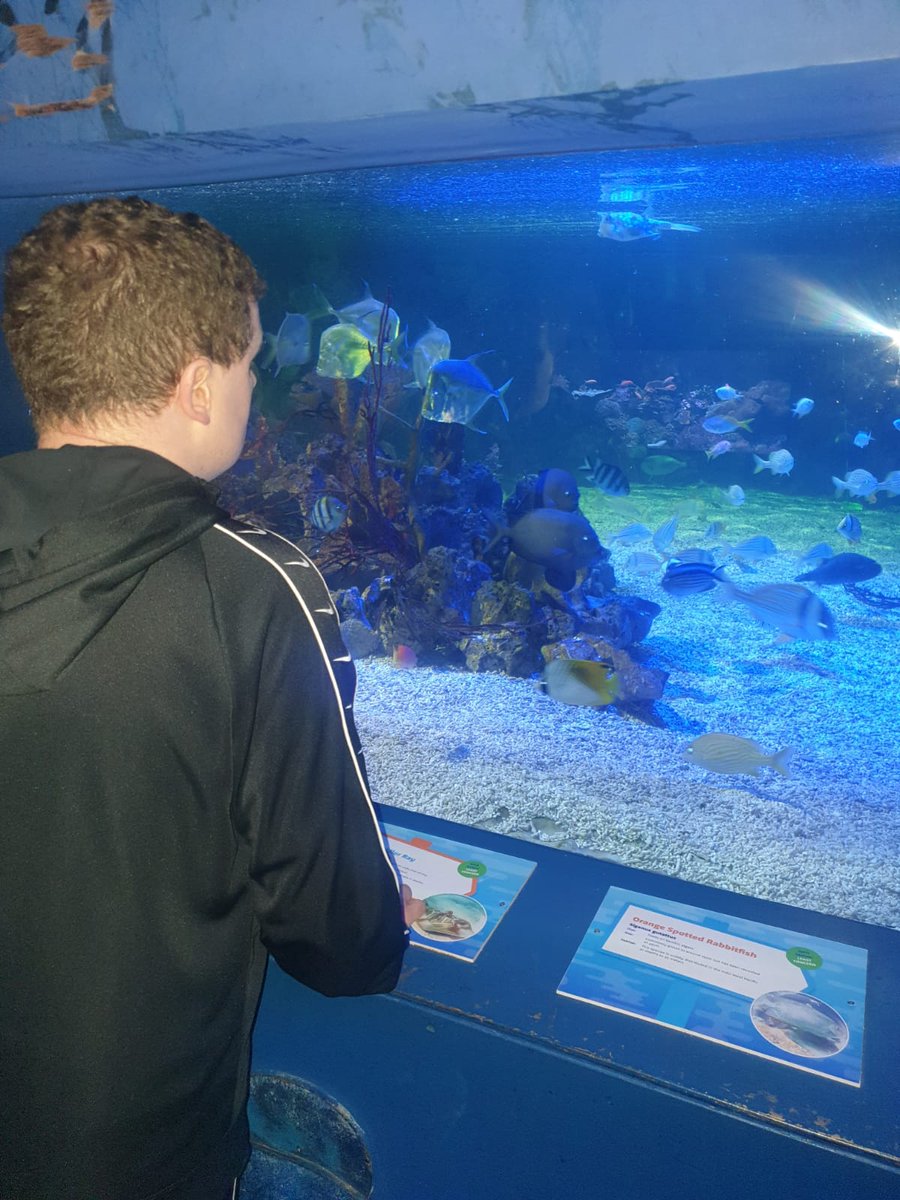 This week's #feelgoodfriday follows  Avalon Customer Lee as he renews his Annual Sea Life Centre Membership. <a href="/SEALIFEScarboro/">SEA LIFE Scarborough</a>