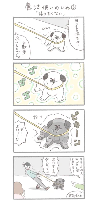 帰りたくない魔法使いのいぬ
#魔法使いのいぬ 