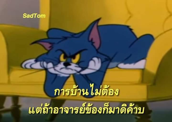 𝙋𝙃𝘼𝙉𝘿𝙄𝙉 tweet media