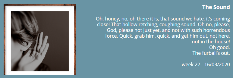 ArmstrongDini's tweet photo. Hi everyone, happy 52under52 flashfiction Monday! Here's today's piece, inspired by Claire Cameron. As always, the rest of the pieces are on https://t.co/47Sxlkfu2z
#flashfiction #52under52 #catlovers https://t.co/DagTVAnuQU