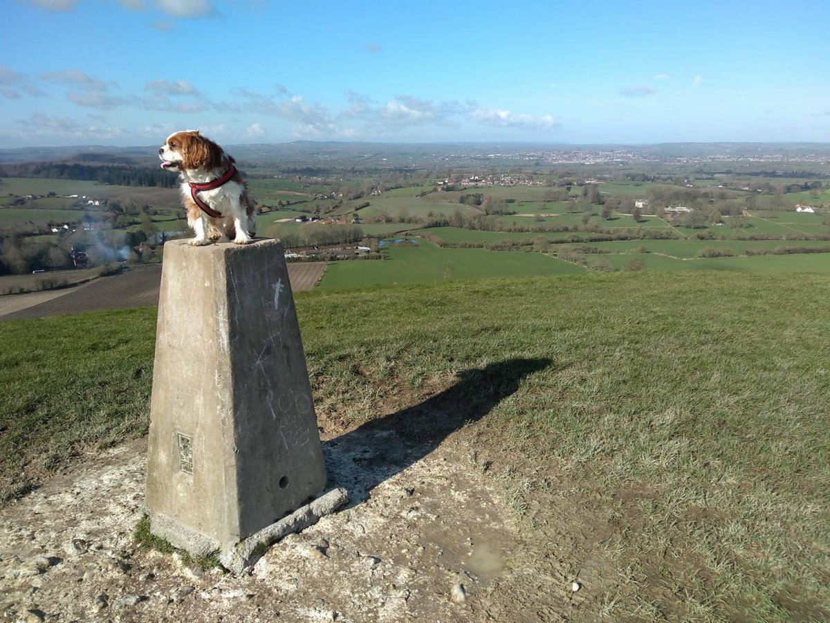 Good morning! Enjoying some early spring sunshine on Cley Hill. A fantastic view and the air is full of skylarks!
#mondaymotivation #spring #timeforwiltshire #rangerlife