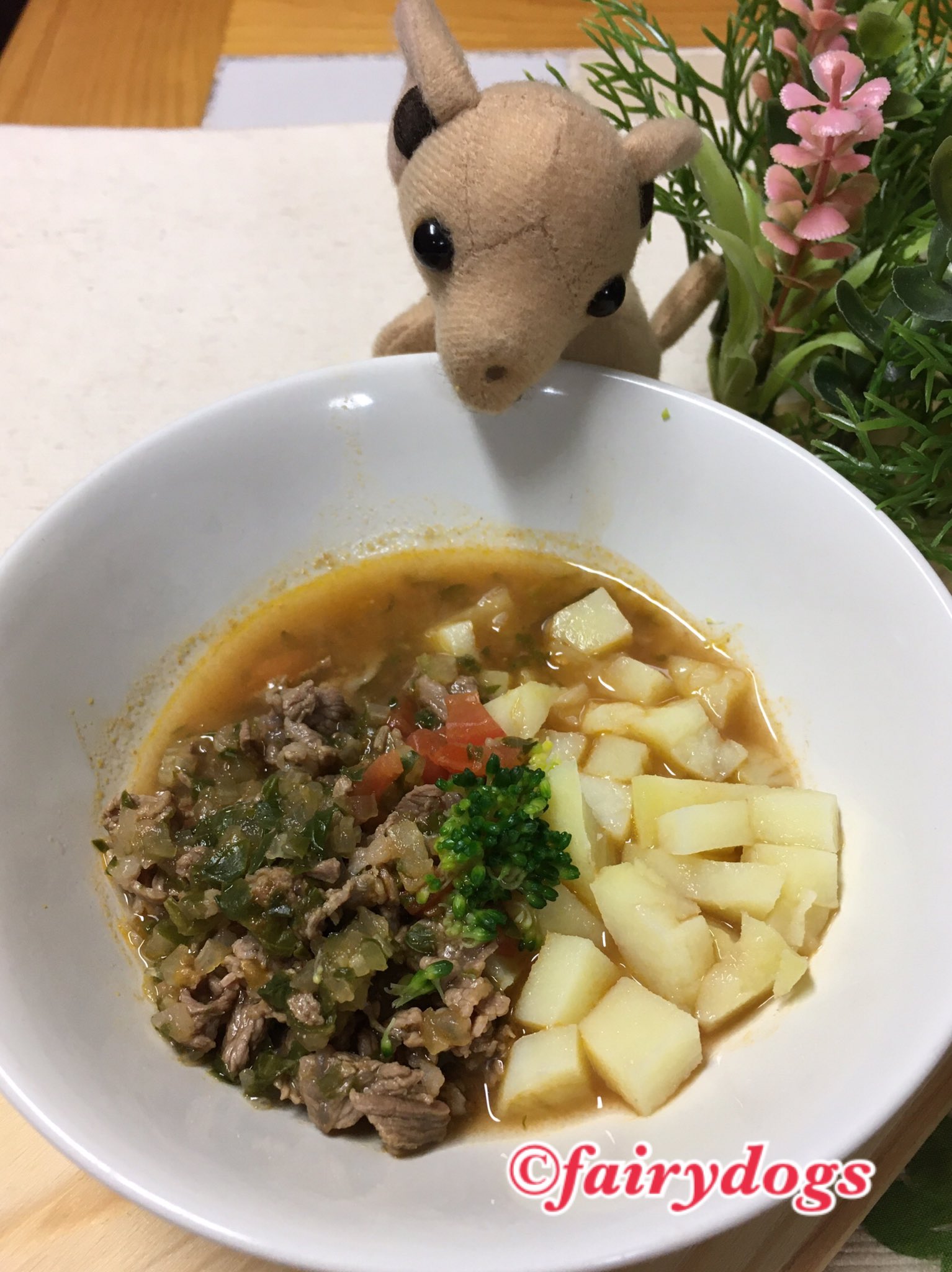 ハイジママ 高岡まちこ 犬ごはん 3 16こんやの犬ごはん ドッグ 牛肉とセロリのトマト煮 牛肉の赤身肉 セロリ 茎と葉 を オリーブ油で炒めて トマトピューレ お水を足して煮込みました みじん切りしたプチトマト ブロッコリー