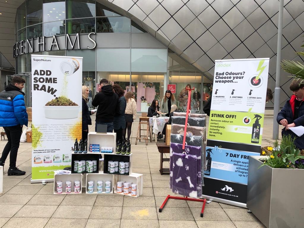 The Lively Crew tweet media