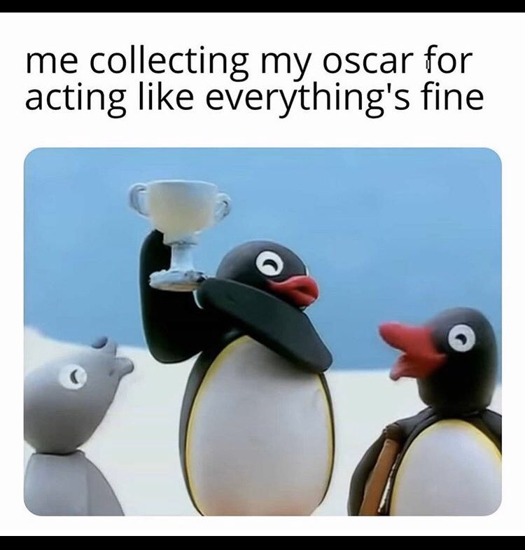 University of Pingu (@uniofpingu) on Twitter photo 