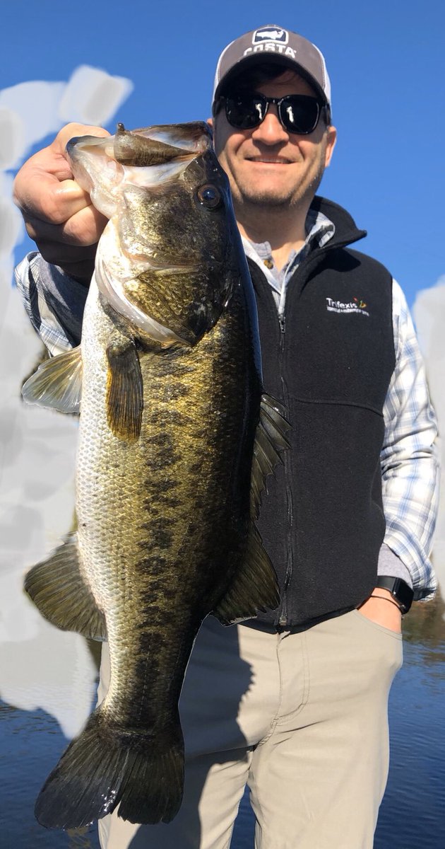 This Father Son Duo whacked on some Fatties! 

#florida #fish #fishing #lake #bass #guides #bassfishing #floridafishing  #tightlines  #catchandrelease #trophy #largemouthbass #largemouth #freshwaterfishing #bigbass #orlandobassguide #floridabass floridabassadventures.com