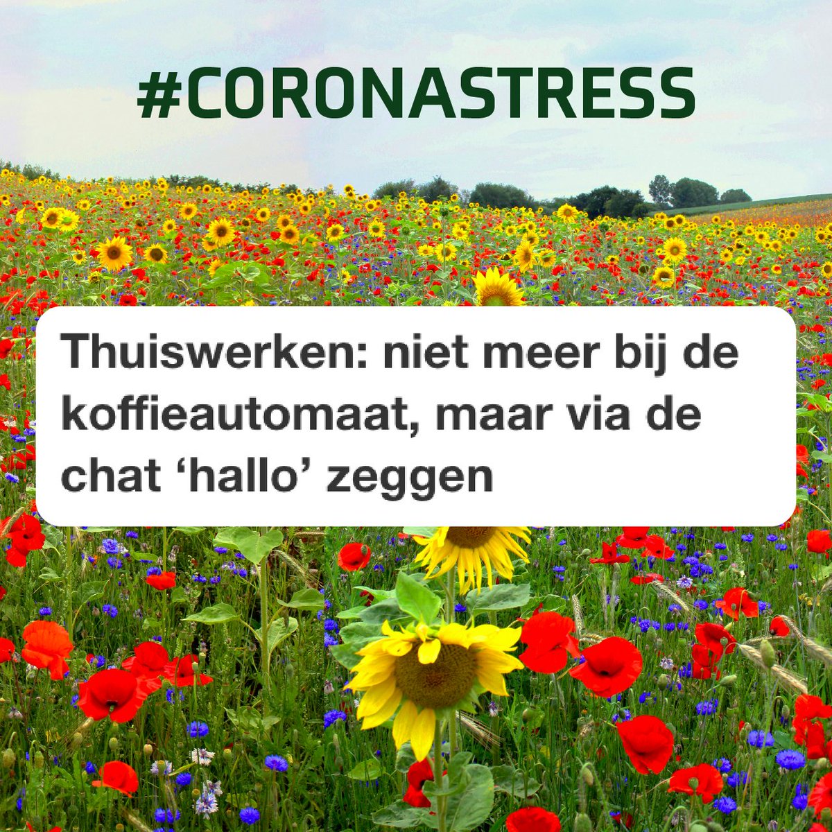 Lodewijk tweet media