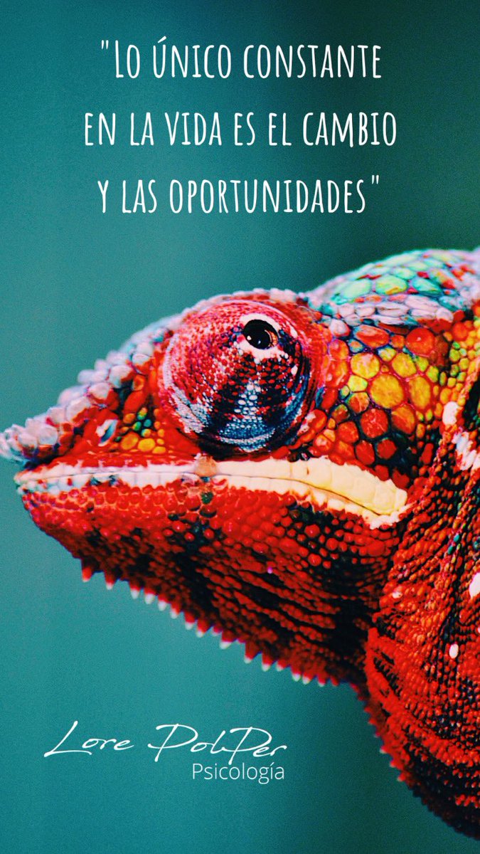 frasedeldía \, image size:675x1200