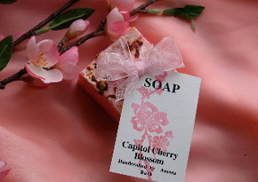 SignatureScent's tweet photo. Looking for soap? It's the best way to combat the #coronavirus! Check out @aurorabath #cherryblossom and other soaps~  https://t.co/fxY80igLS9 #shoplocal #shutdowndc #signaturescent https://t.co/aWrXDnM173