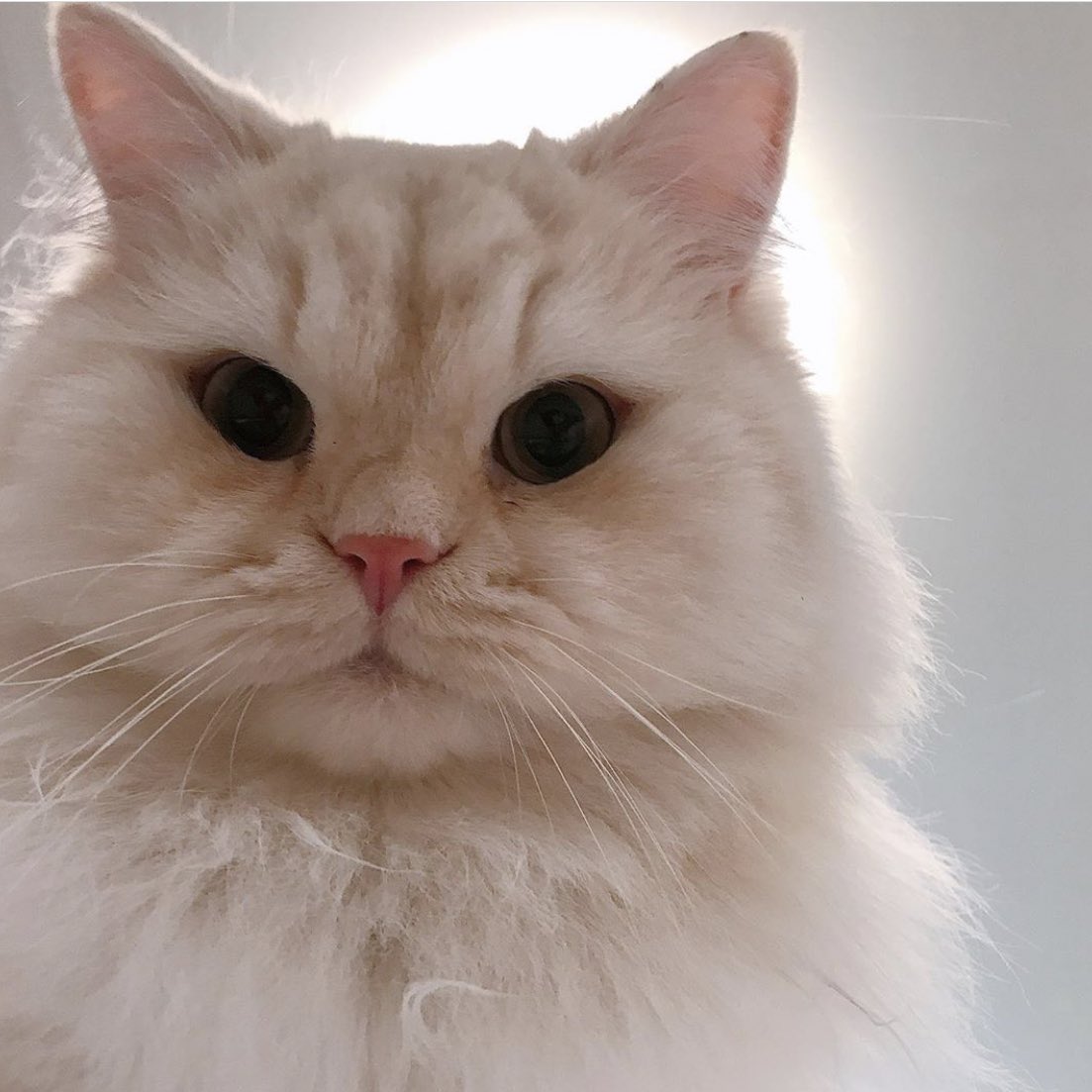 💞#강다니엘 #KANGDANIEL