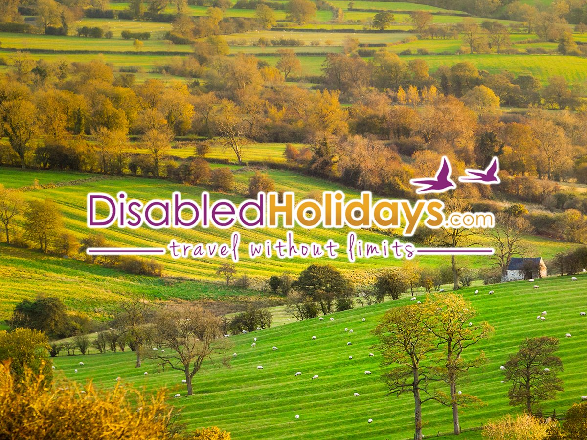DisabledHolidays.com tweet media