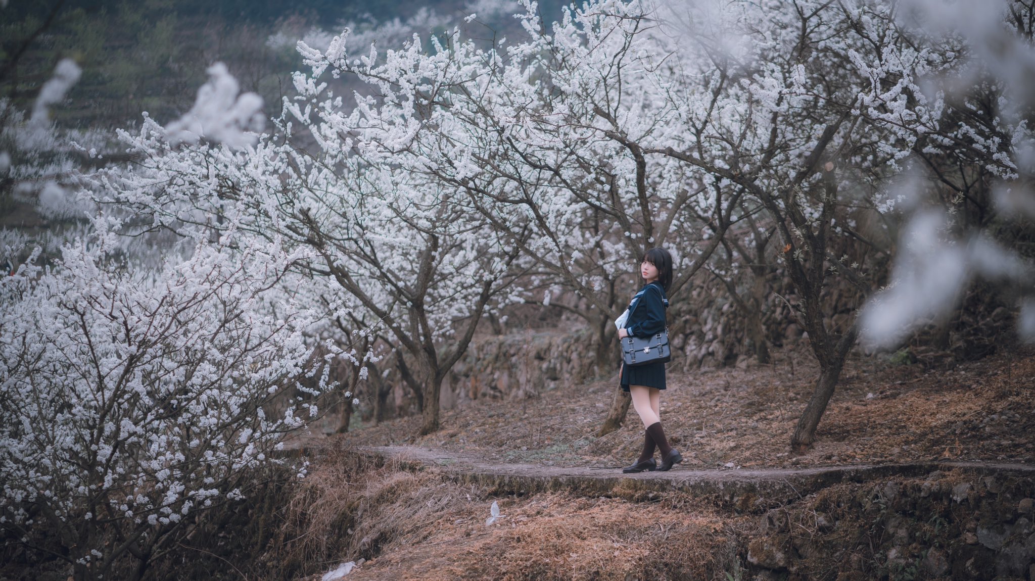 画像,一緒に花を見に行きましょう。#jk制服 #制服 #女子高生 #水手服 #制服ディズニー https://t.co/APXjArnWne…