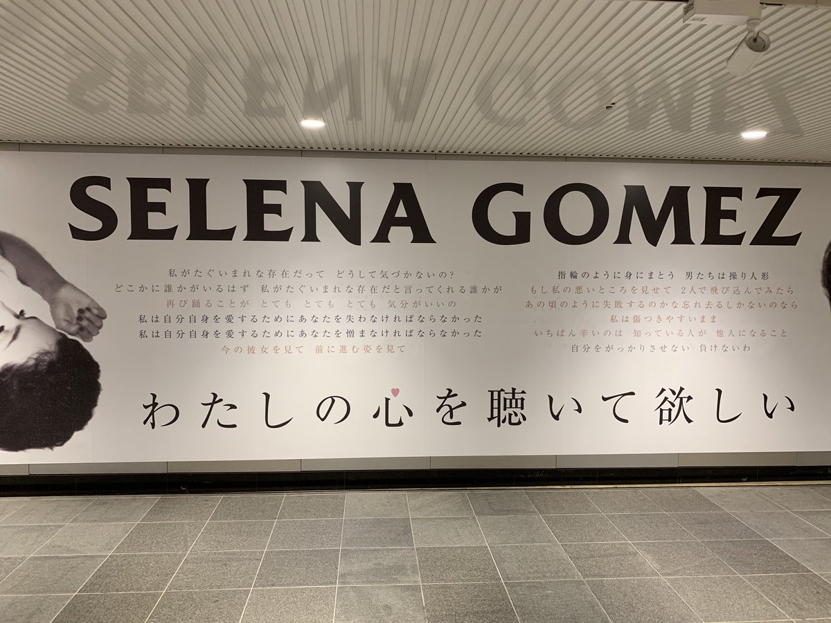 CAdorableMILA's tweet photo. 期間中毎日貼り直してもらえませんか https://t.co/hbCgJTndoK