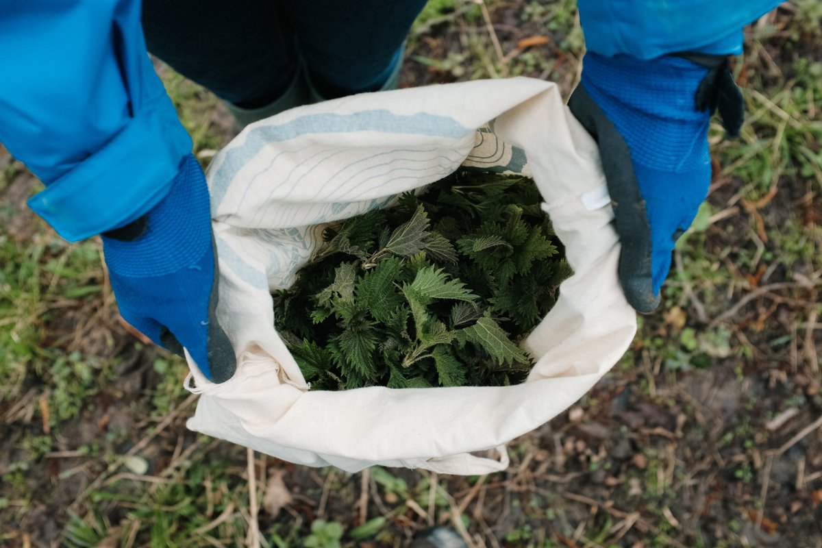 Misc. Adventures tweet media