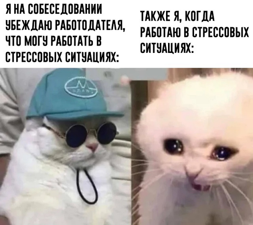 so_mad_so_funny's tweet photo. https://t.co/0bmG9A6eUx