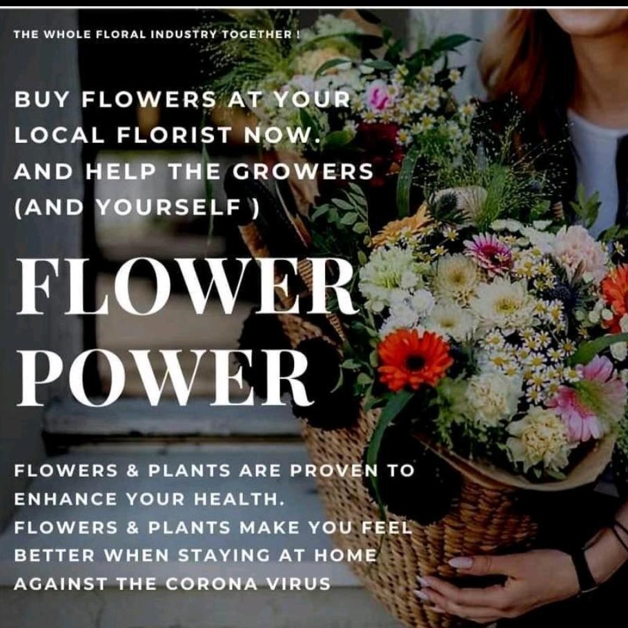 Flower power🌺💐💪! A lot is going on, but we believe in our plants and our sector! If you can, bring yourself and your loved ones a smile by giving flowers! Take care and spread the power of flower💚

@flowerpower@yournaturalorchid