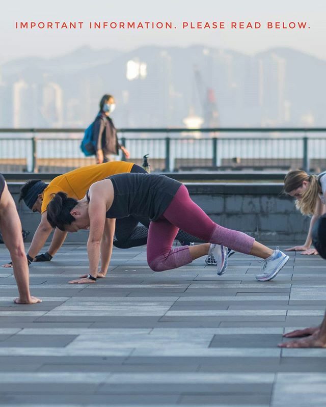 NovProjectHongKong tweet media