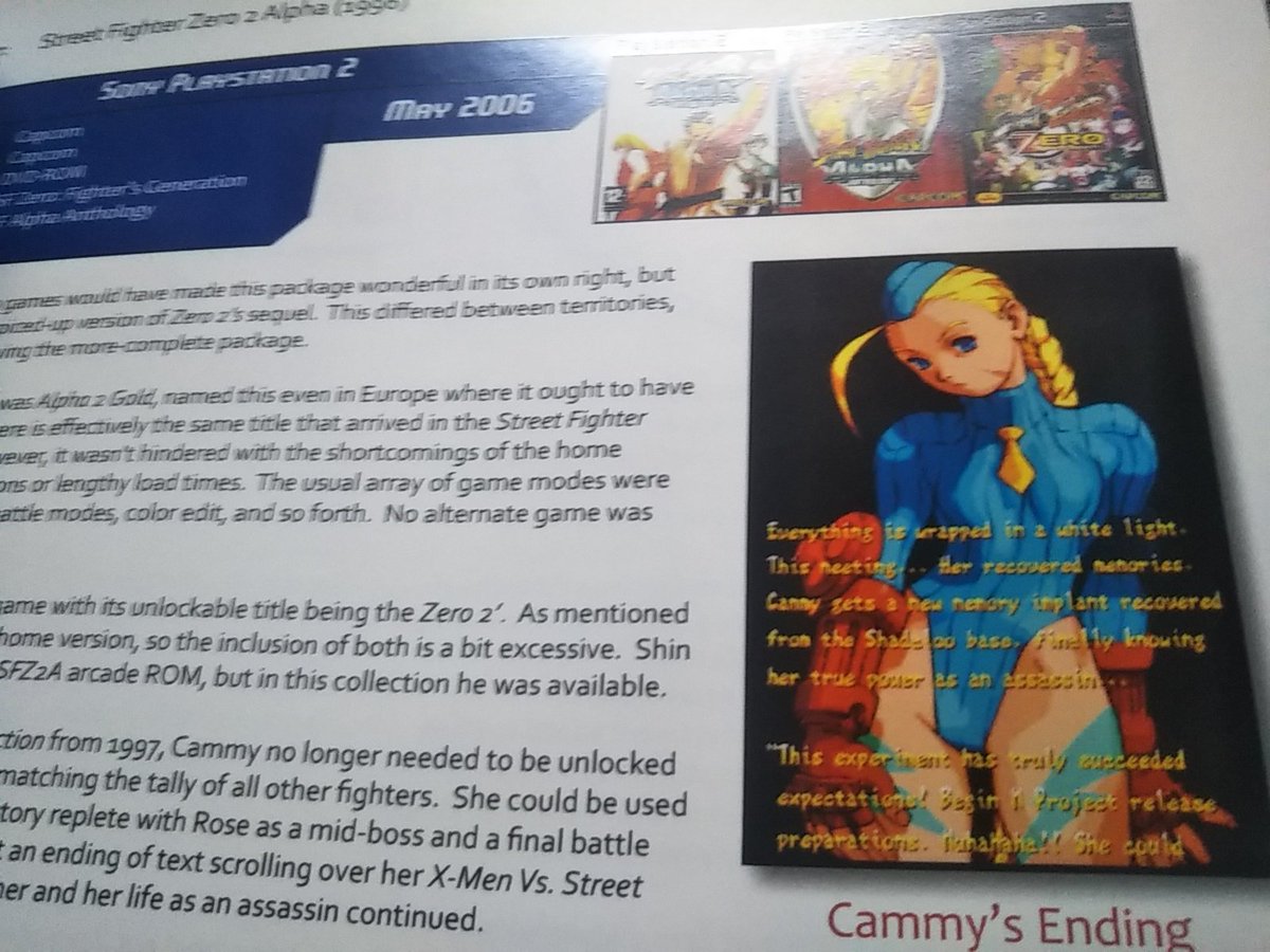 りょう Street Fighter 海賊版 この内容の充実具合からいってカプコン公式本ではないかと思いたくなるけど なぜかパチモン 非公式作品 まで紹介している凝りよう 有名な ストiiレインボー ストzero2 97 そして ストzero4 さすがに