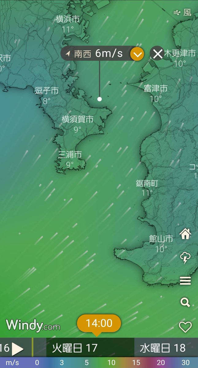 水温 東京 湾 定地水温データ/観測地点の情報一覧