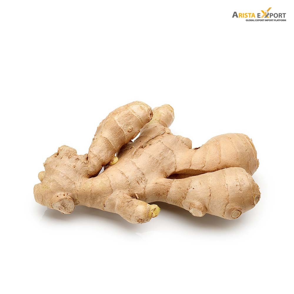 AristaExport's tweet photo. Fresh and export quality #Ginger from #India. All products are available on #AristaExport. Order now
►Visit Us
=========
Website: https://t.co/0lABKASDYQ
Facebook: https://t.co/JotP7Asffx
Youtube: https://t.co/h9A2gQrBCD
Blog: https://t.co/KQk3O88pc5 https://t.co/PdHcivDBnG