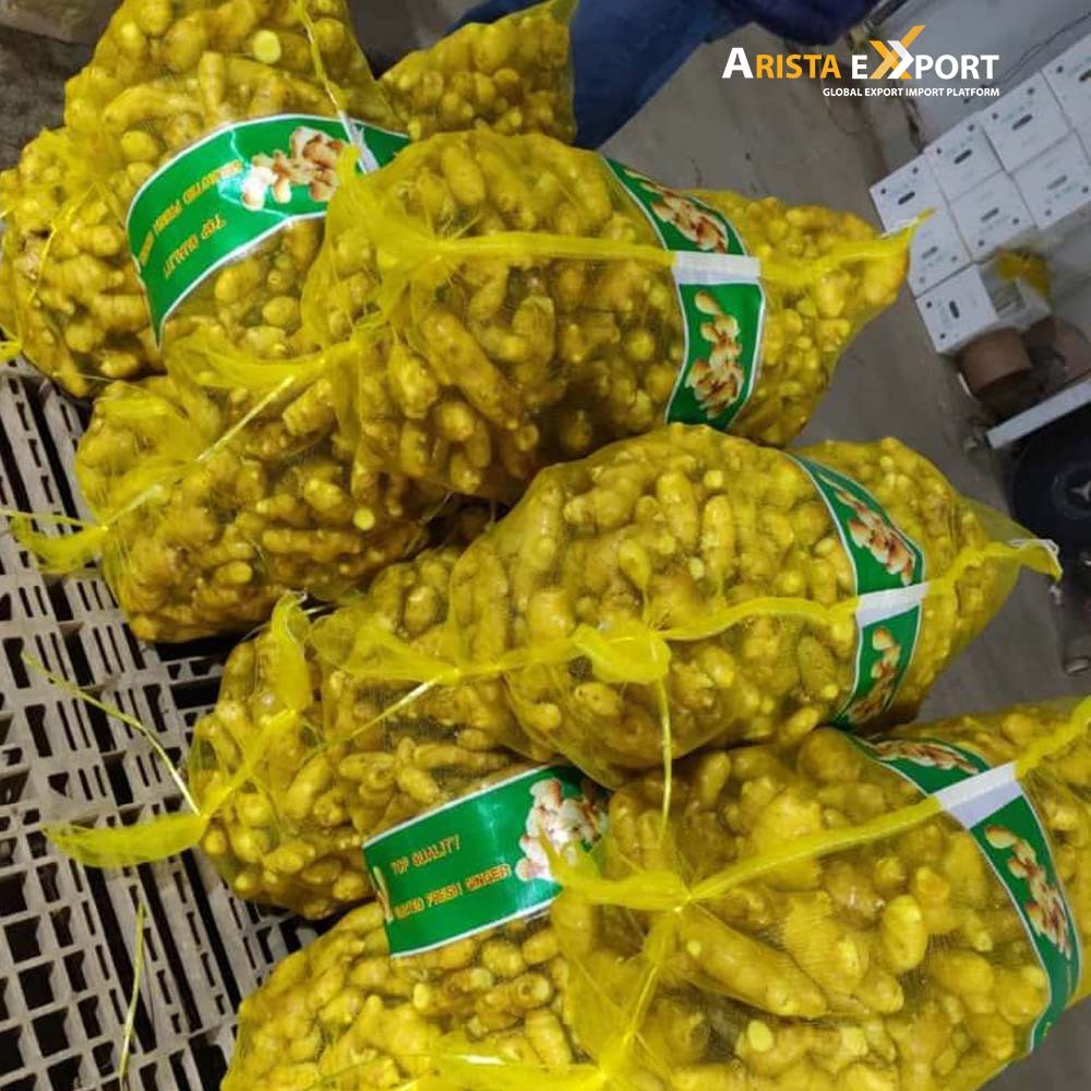 AristaExport's tweet photo. Fresh and export quality #Ginger from #India. All products are available on #AristaExport. Order now
►Visit Us
=========
Website: https://t.co/0lABKASDYQ
Facebook: https://t.co/JotP7Asffx
Youtube: https://t.co/h9A2gQrBCD
Blog: https://t.co/KQk3O88pc5 https://t.co/PdHcivDBnG