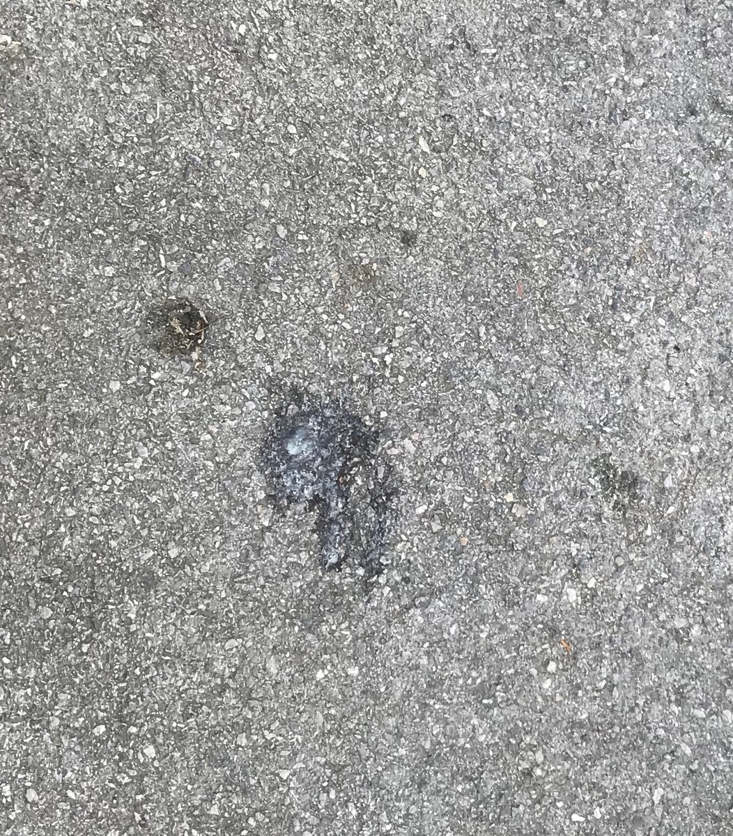SilvertonSarah's tweet photo. How irresponsible! What a way of spreading disease. It’s a disgusting habit anyway #stopspitting #coronavirus #COVIDー19 https://t.co/L0rjALU00z