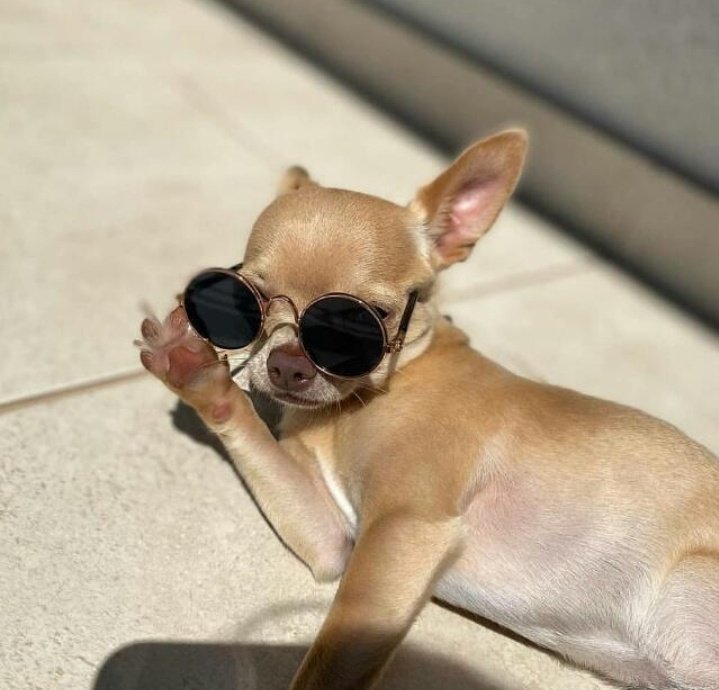 Manitaya iltifat ederken