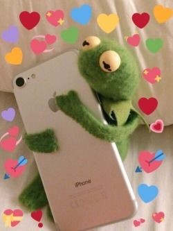 (메인트 계이)시우🌸🌵 (@sirius_siu) on Twitter photo 