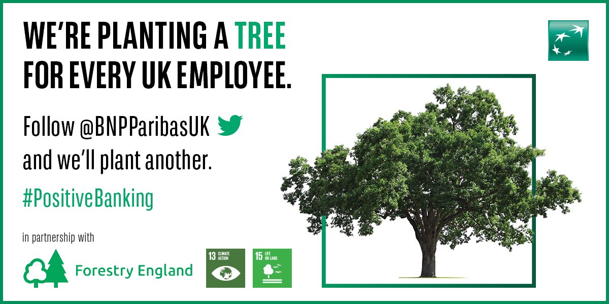 BNP Paribas UK (@bnpparibasuk) on Twitter photo We’re partnering with <a href="/ForestryEngland/">Forestry England</a> to plant #ATreeforEveryEmployee - 9,000 in total in the UK.
And for every new follow on <a href="/BNPParibasUK/">BNP Paribas UK</a>, we’ll plant another.
#NetZero #PositiveBanking We’re partnering with <a href="/ForestryEngland/">Forestry England</a> to plant #ATreeforEveryEmployee - 9,000 in total in the UK.
And for every new follow on <a href="/BNPParibasUK/">BNP Paribas UK</a>, we’ll plant another.
#NetZero #PositiveBanking