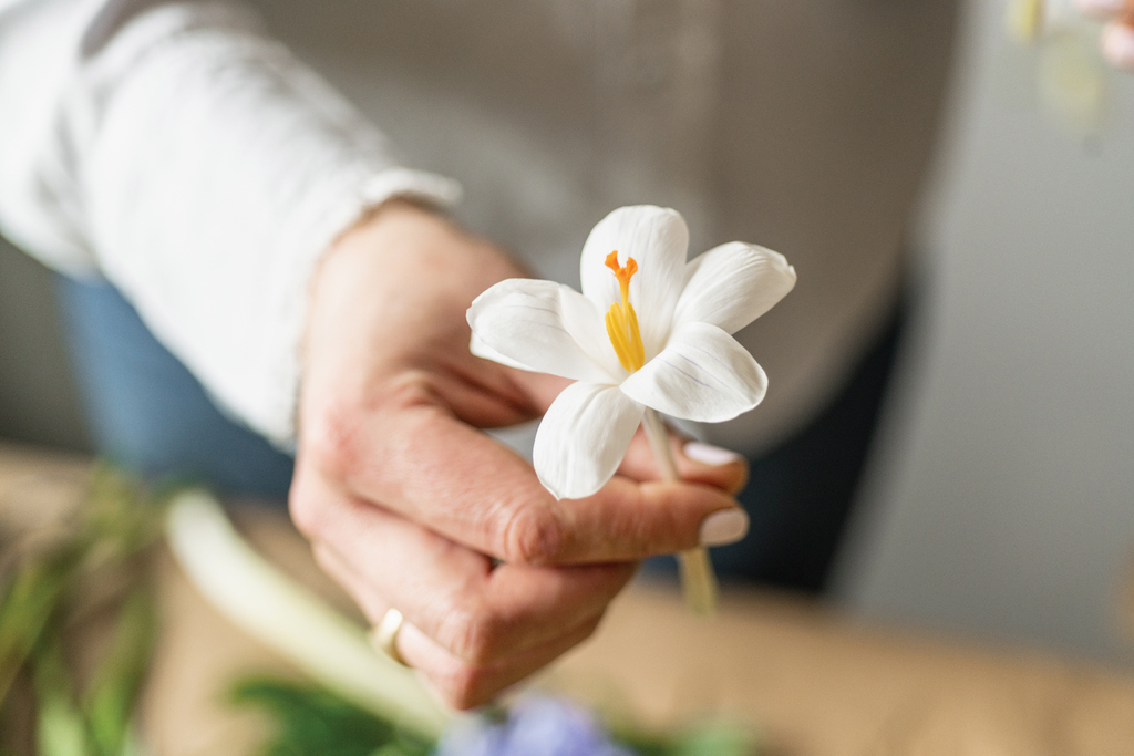SimonPearceInc's tweet photo. A little petal pick-me-up 💚

https://t.co/DinmdHqZxC https://t.co/zX6adS1NaW