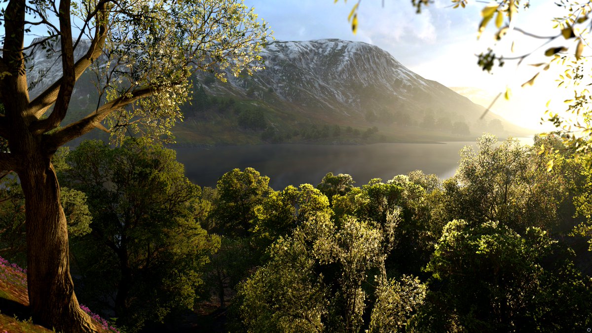 Digifantam Unexplored Region 秘境 風景 花 Forzahorizon4 Fh4 Pcgaming 4k Forzashare Xbox Photography Virtualphotography Landscape T Co Ydbomtiq52 Digifantam Unexplored Region 秘境 風景 花 Forzahorizon4 Fh4 Pcgaming 4k Forzashare Xbox Photography Virtualphotography Landscape T Co Ydbomtiq52