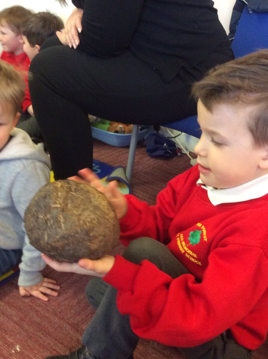 Little Acorns tweet media