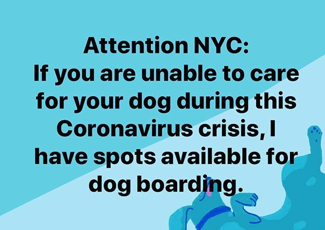 #dogs #nycdogs #housecallvet #veterinarian #dogsofinstagram #puppiesmakemehappy