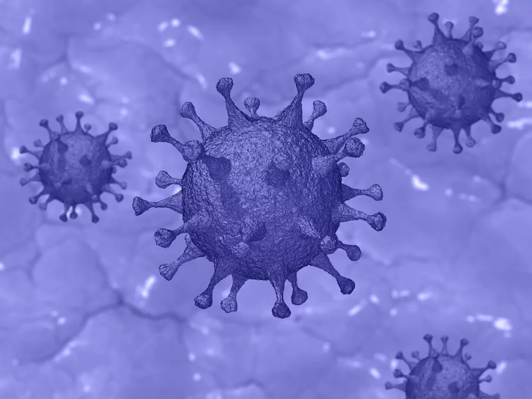 ¿En qué consiste el #EstadoDeAlarma declarado en #España a causa del #coronavirus (#covid19ESP)?
En estos tiempos de adversidad, desde #Fragaservi queremos enviar un mensaje esperanzador. Juntos superaremos este trance. ¡Fuerza y ánimo a todos!
fragaservi.com/actualidad/-En…