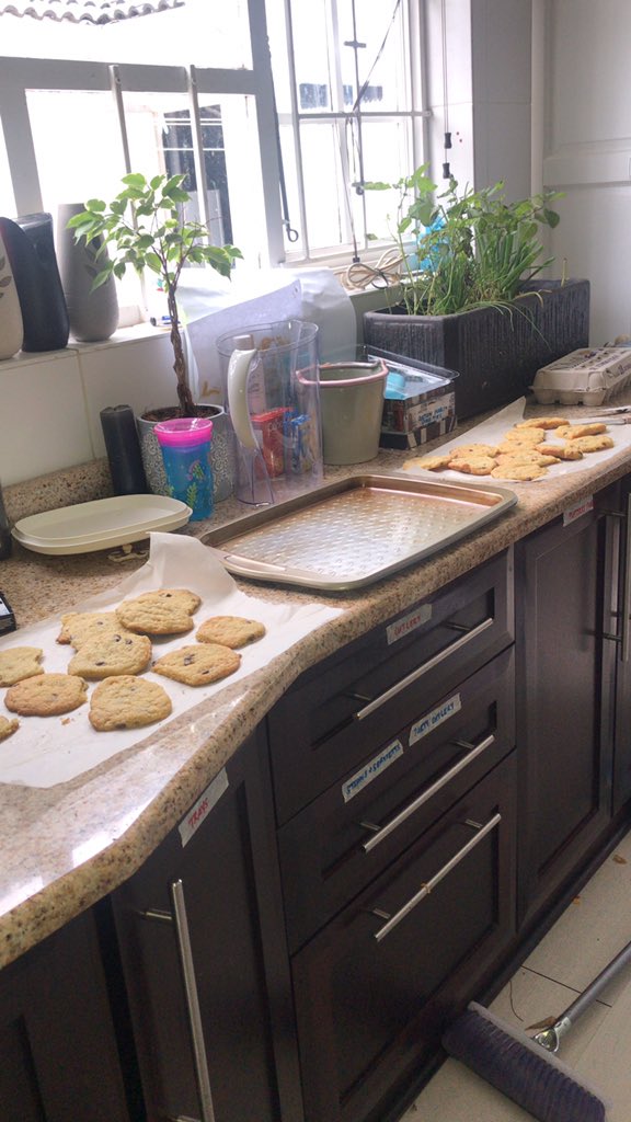 SheBeeGee's tweet photo. Behold my domesticity. Yes those are fresh out the oven. Yes, those are my home grown herbs. Yes I’m already going crazy.
#coronacookies https://t.co/M1xqfMmXfN