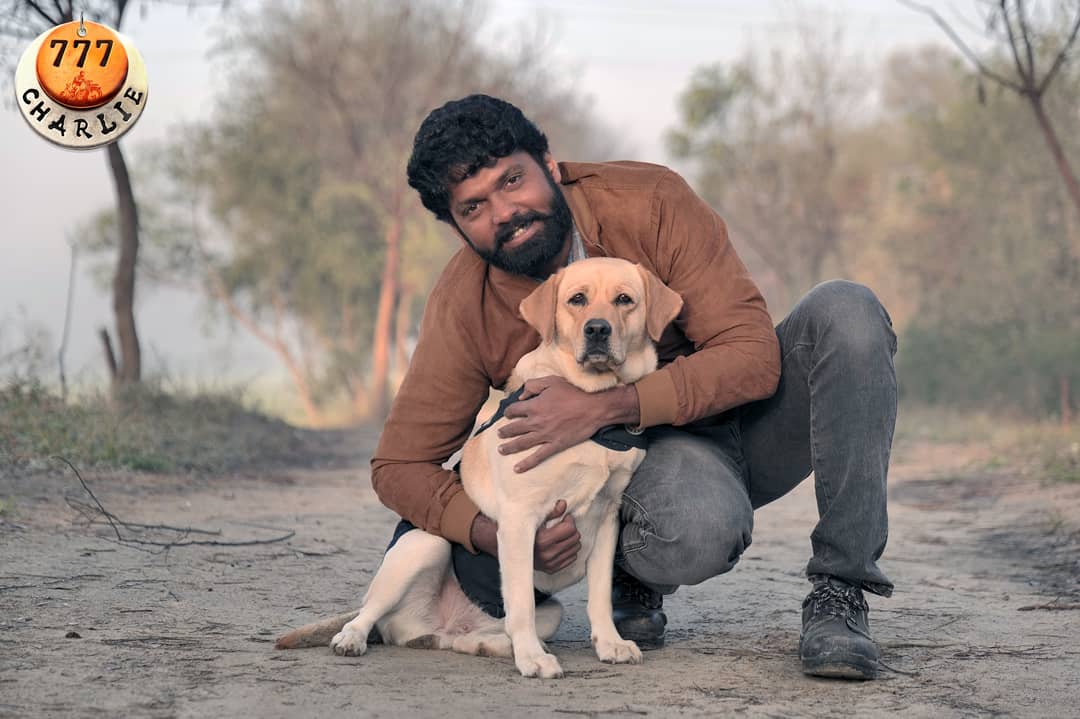 777CharlieMovie's tweet image. We have successfully completed our journey from Gujarat to Punjab. Stay tuned for more updates..

#777charlie #rakshitshetty #kiranraj #paramvahstudios #pushkarfilms