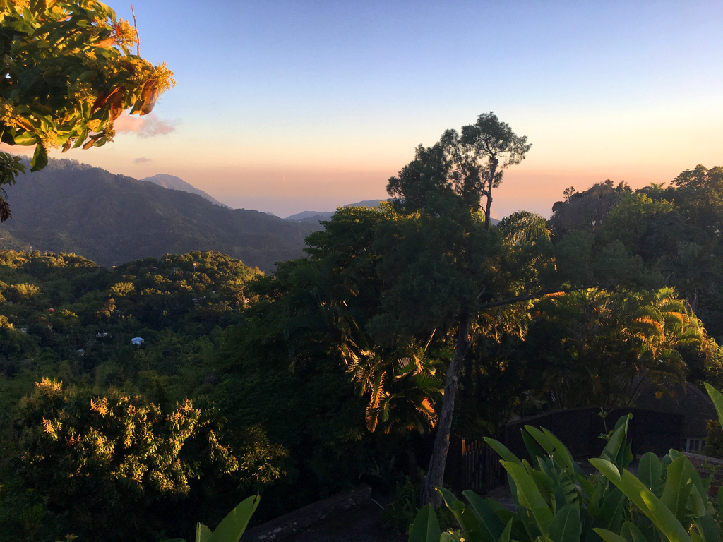 The healing and serene vibe of the Blue Mountains 🇯🇲
#healthandwellness #unwind #StrawberryHill #BlueMountains #Retreat #Jamaica