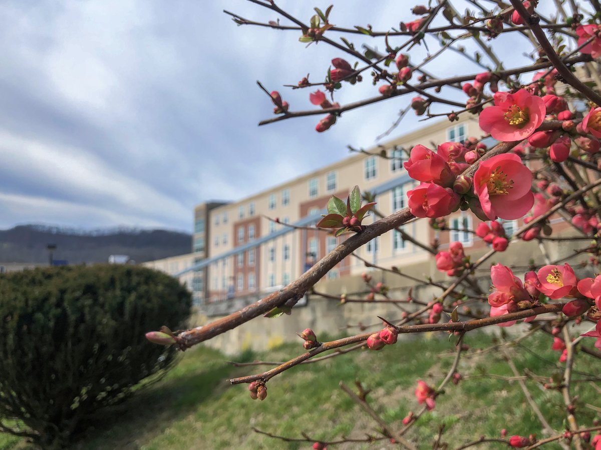 We know that this is a very difficult and uncertain time for our Pioneer family, but we'll get through this together because that's what #PioneerNation does best. 💙

📸: Seth Stover