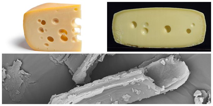 Los agujeros del queso Emmental se deben al CO2 producido en la fermentación por bacterias acido-propiónicas. Llegó un momento en el que casi desaparecieron. Nadie sabía por qué. Hasta 2015. Su formación está inducida por la presencia de micropartículas de heno  #gominolasdepeseta